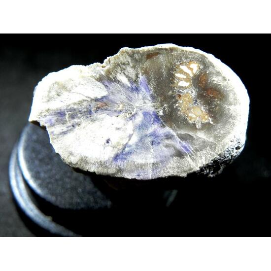 Fluorite & Quartz Psm Petrified Wood