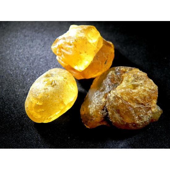Amber Gedanite