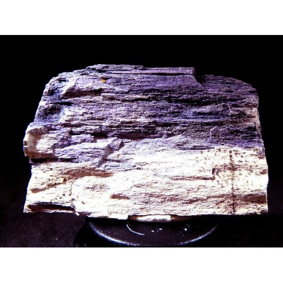 Fluorite & Quartz Psm Petrified Wood