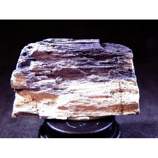 Fluorite & Quartz Psm Petrified Wood