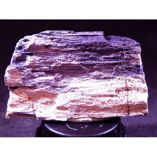 Fluorite & Quartz Psm Petrified Wood