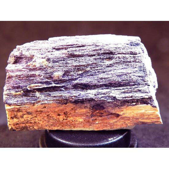 Fluorite & Quartz Psm Petrified Wood