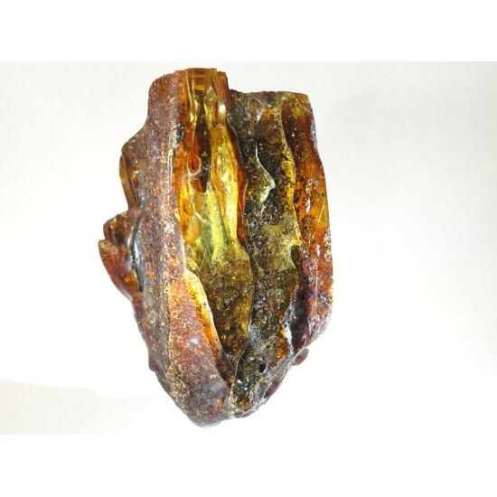 Amber Succinite
