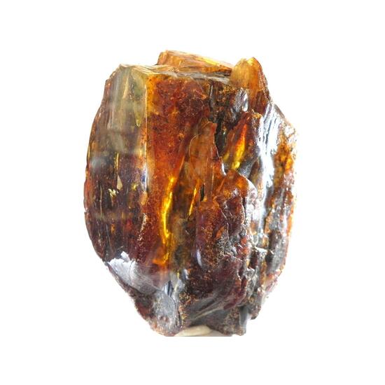 Amber Succinite