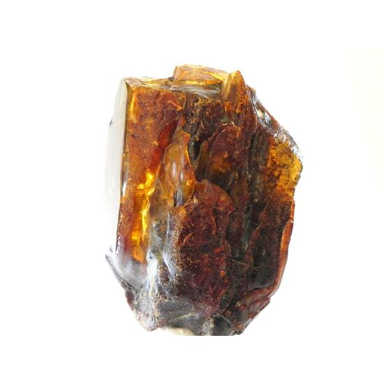 Amber Succinite