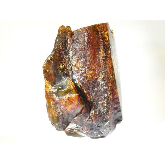 Amber Succinite