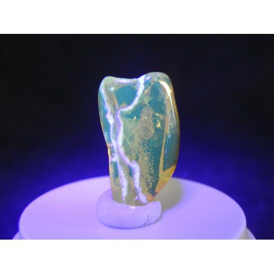 Amber With Inclusions