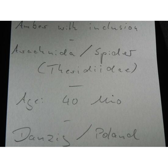 Amber With Inclusions