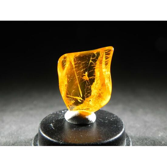 Amber With Inclusions