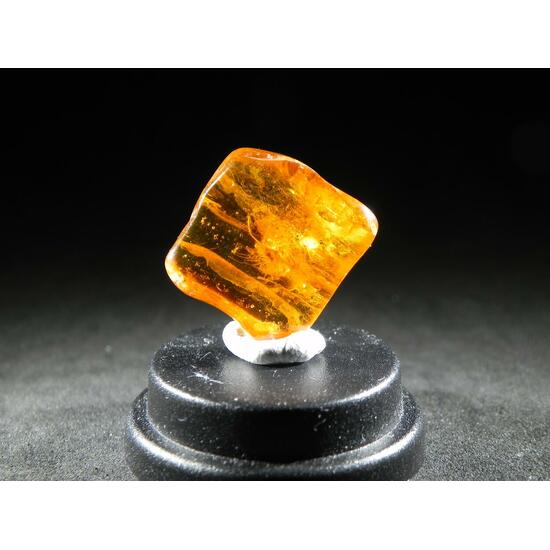 Amber With Inclusions
