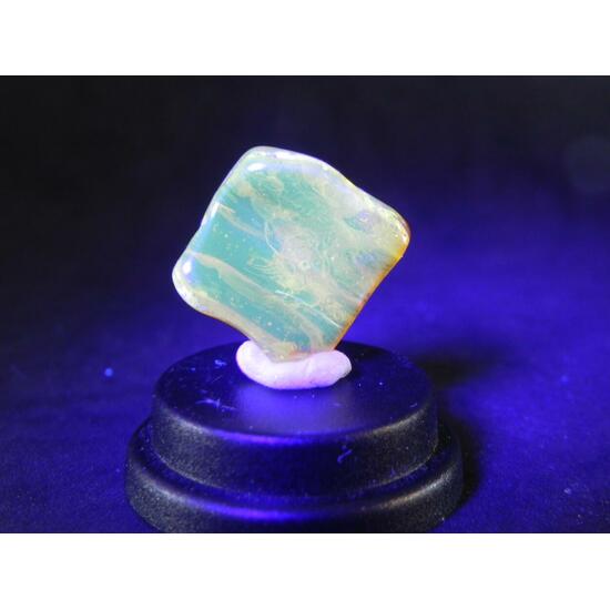 Amber With Inclusions