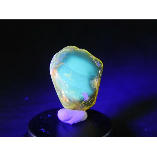 Amber With Inclusions