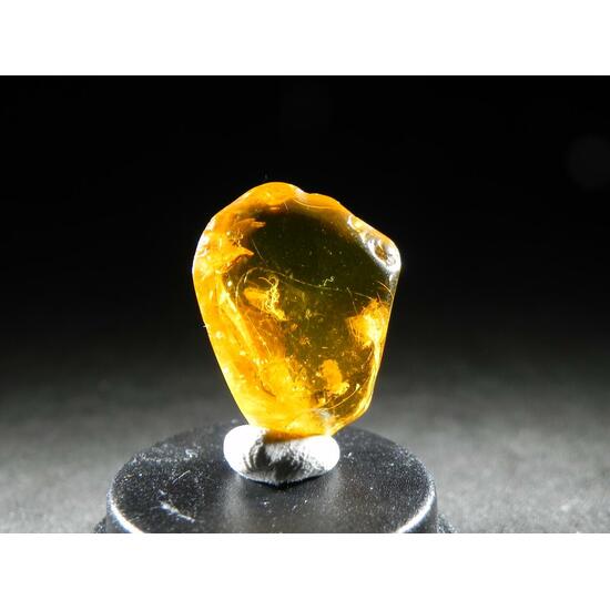 Amber With Inclusions