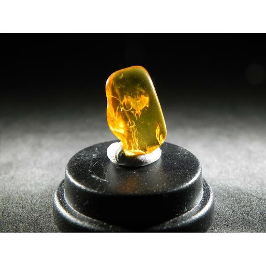 Amber With Inclusions