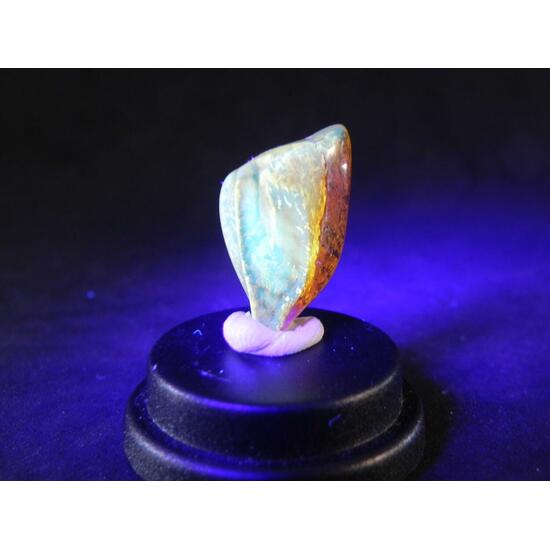 Amber With Inclusions