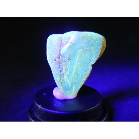 Amber With Inclusions