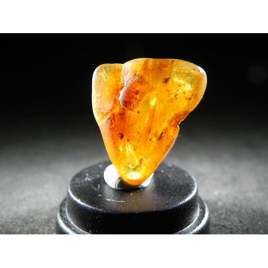 Amber With Inclusions