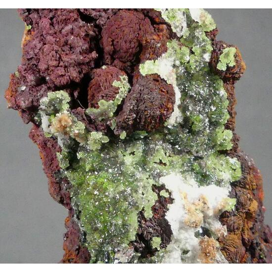 Austinite & Limonite Psm Siderite