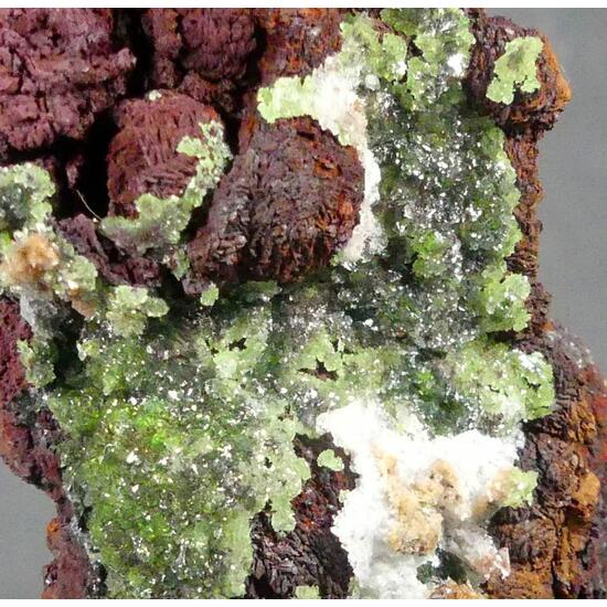 Austinite & Limonite Psm Siderite