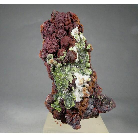 Austinite & Limonite Psm Siderite