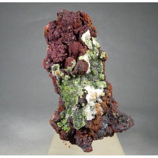 Austinite & Limonite Psm Siderite