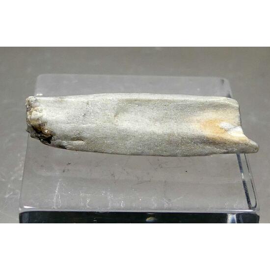 Meteorite Var Aubrite