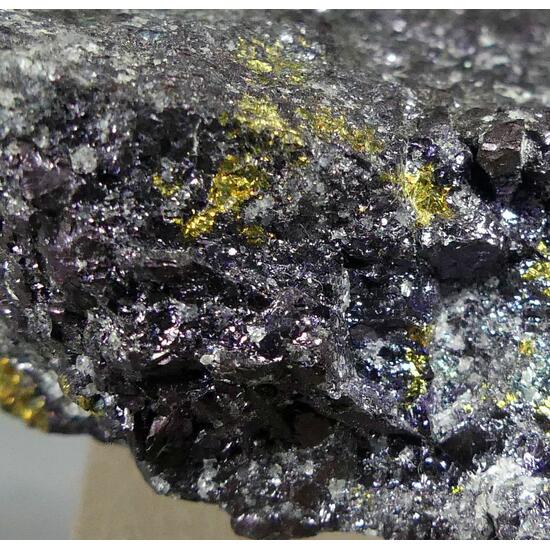 Bornite Chalcocite & Chalcopyrite