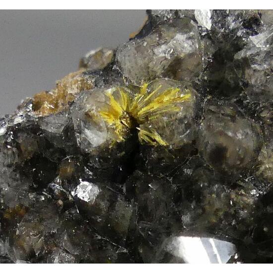 Boltwoodite On Calcite