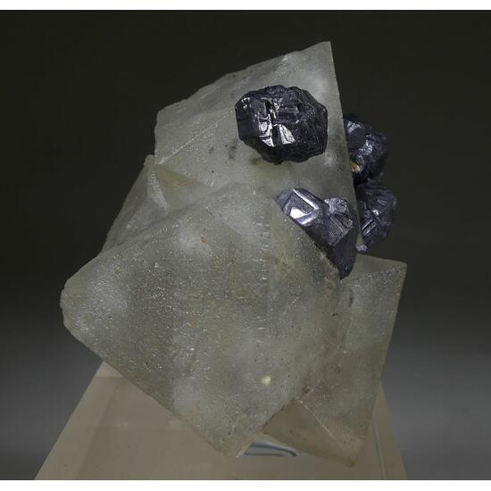 Fluorite & Galena