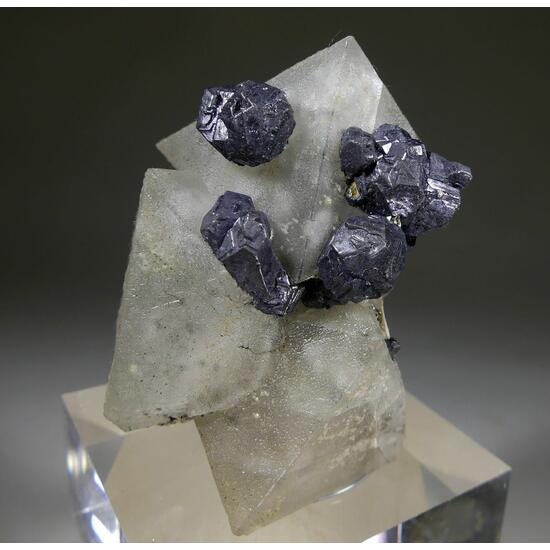 Fluorite & Galena