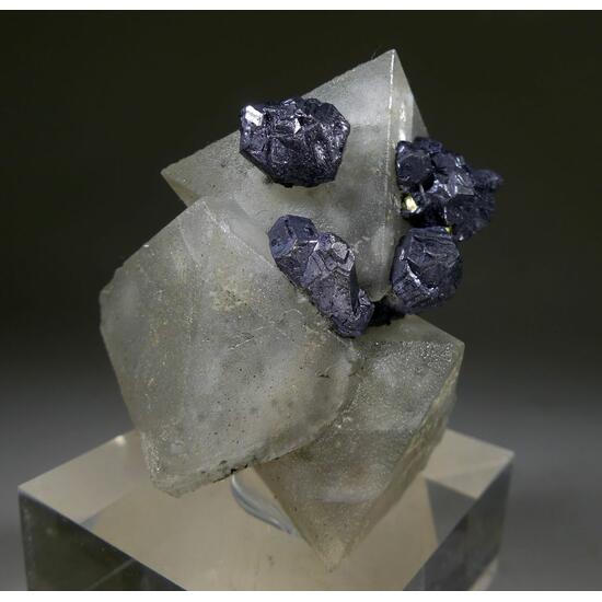 Fluorite & Galena