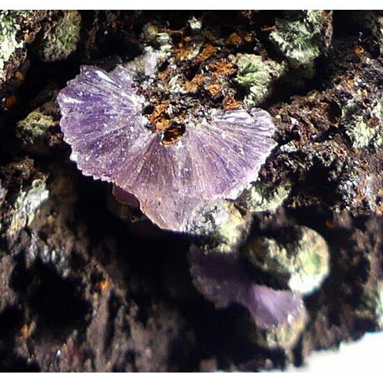 Strengite & Dufrénite