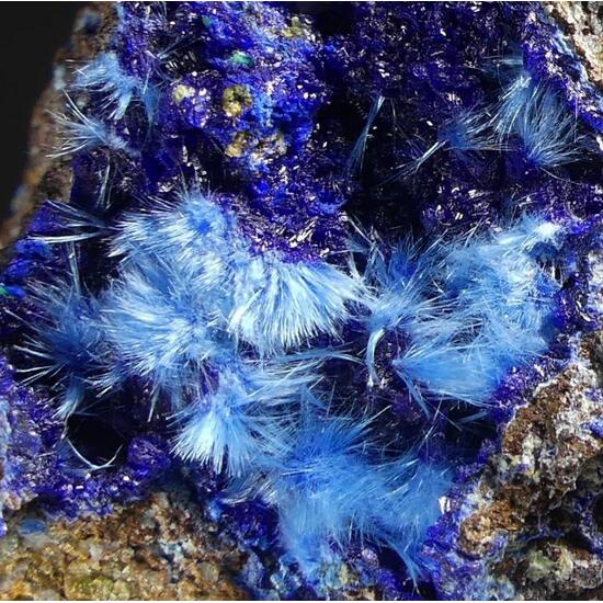 Cyanotrichite On Langite