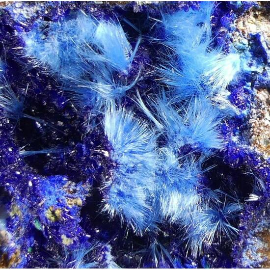 Cyanotrichite On Langite