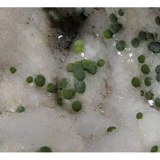 Mottramite On Dolomite Psm Calcite