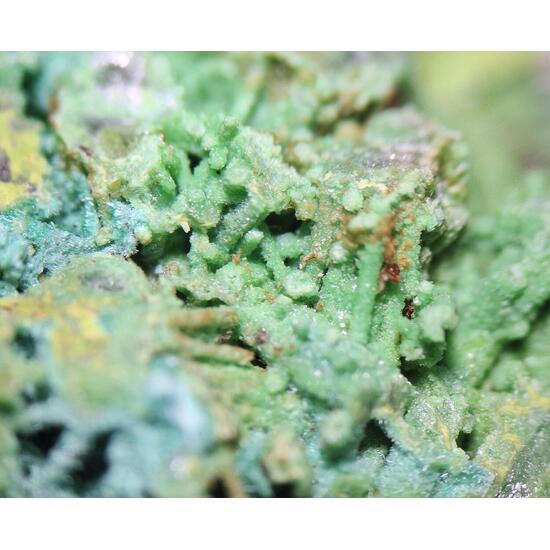 Bayldonite Psm Mimetite With Malachite