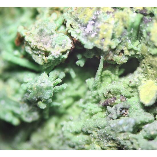 Bayldonite Psm Mimetite With Malachite