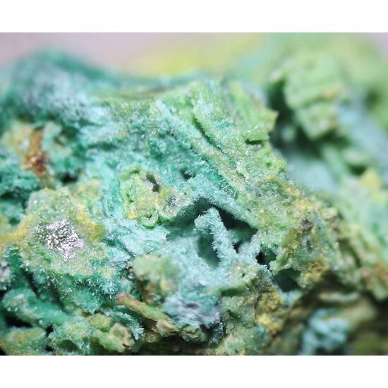 Bayldonite Psm Mimetite With Malachite