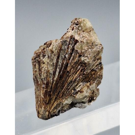 Lamprophyllite