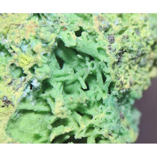 Bayldonite Psm Mimetite Cerussite