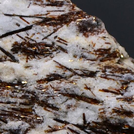 Astrophyllite