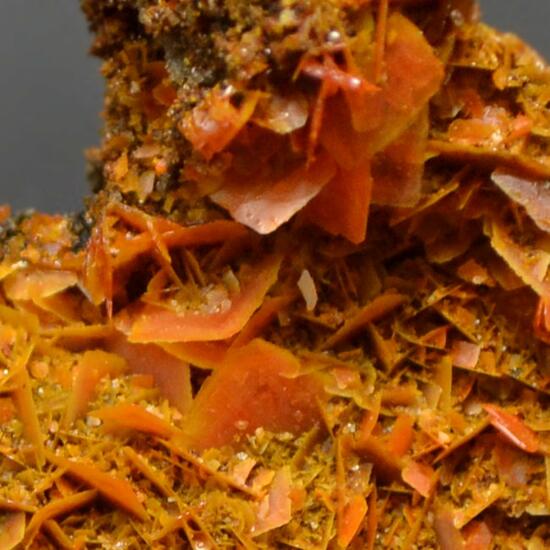 Wulfenite