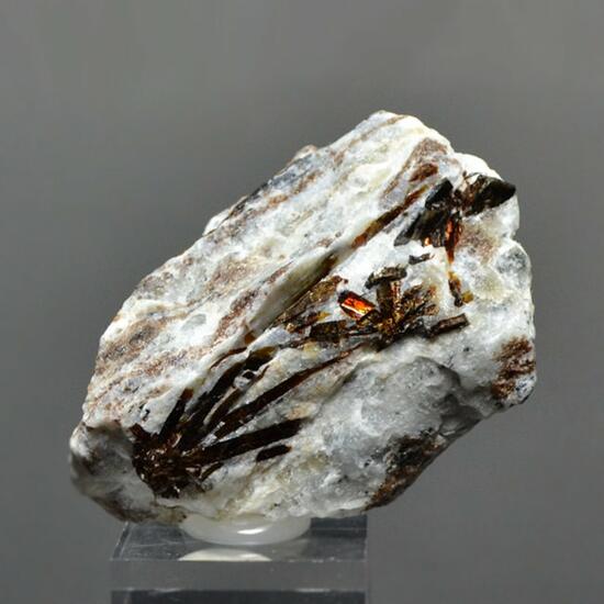 Astrophyllite