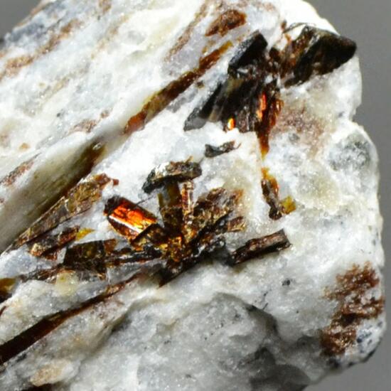 Astrophyllite