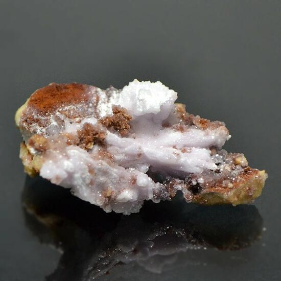 Creedite