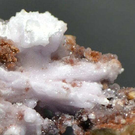 Creedite