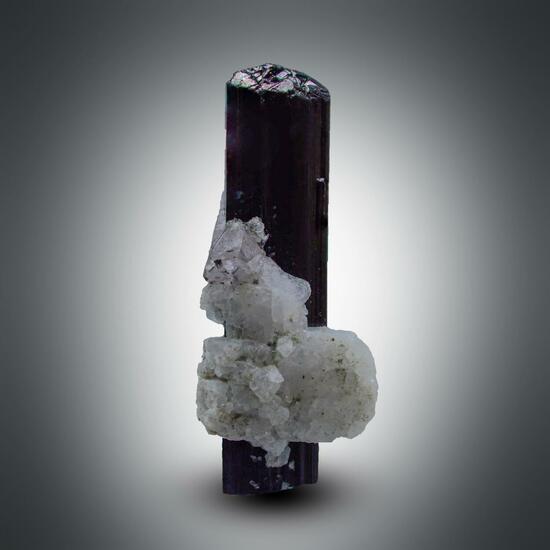 Tourmaline With Apatite