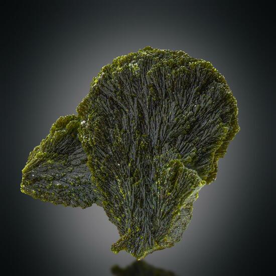 Epidote