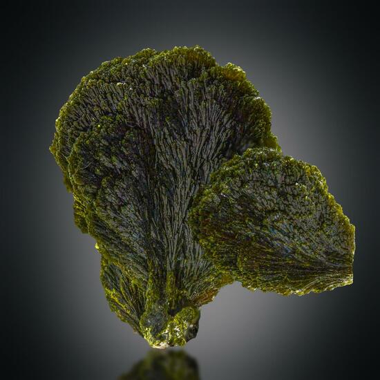 Epidote