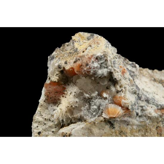Ferrierite-Mg Mordenite & Calcite